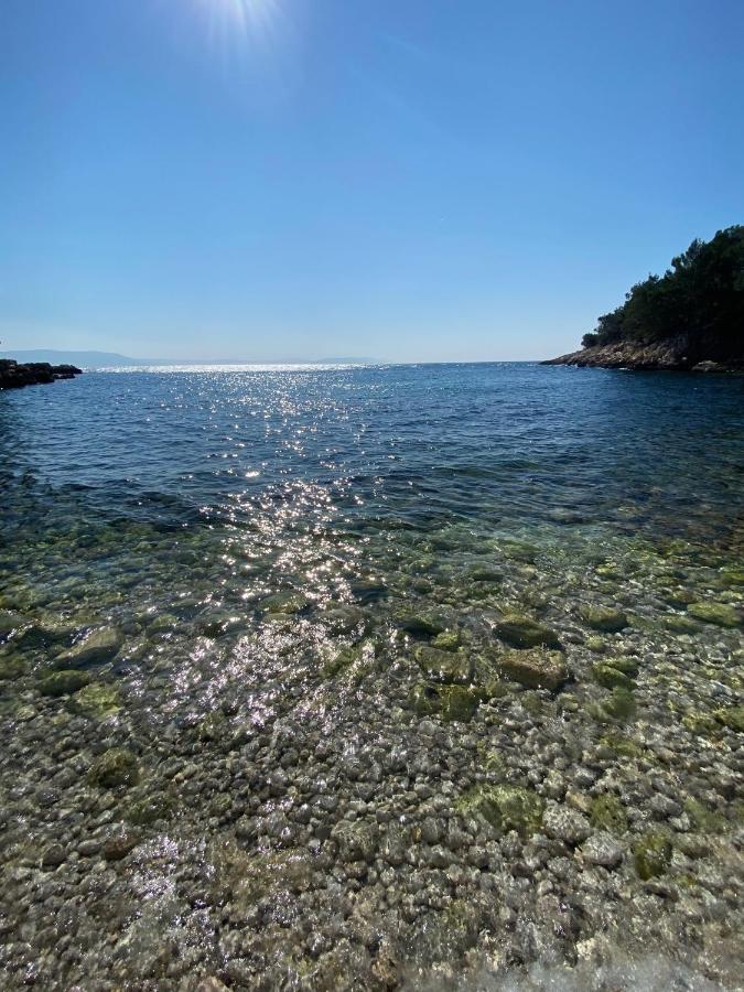 Wellness House Oliva With Heated Salt Water Pool, Sauna & Jakuzzi Labin  Eksteriør bilde